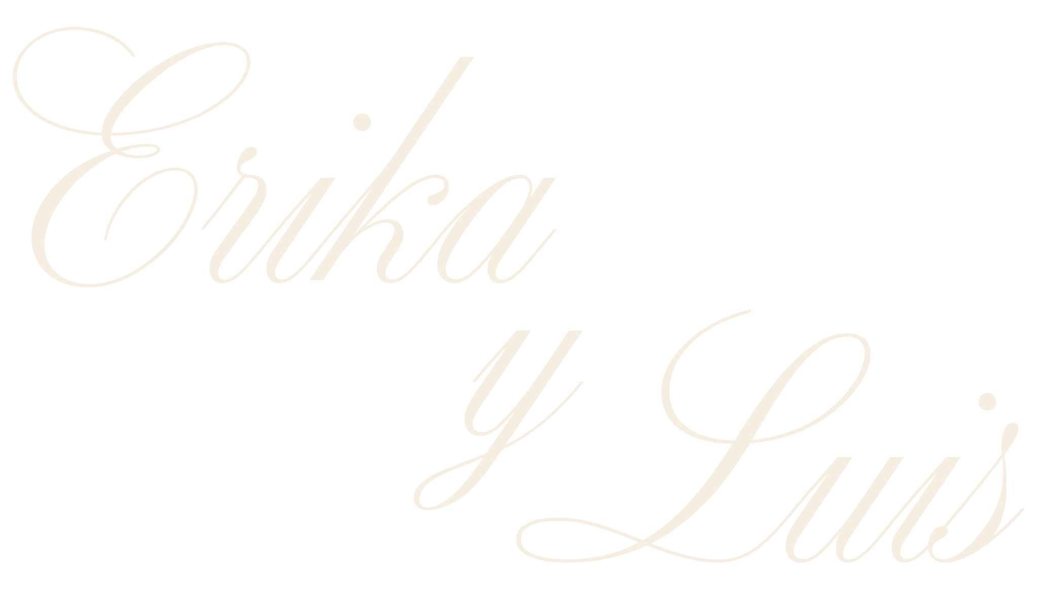 Erika y Luis